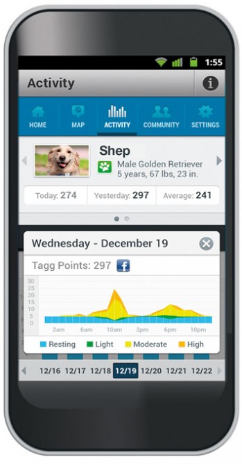 iPhone showing app that tracks dogs' activity levels