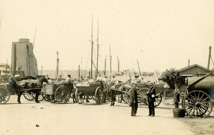 Several horse-drawn wagons full of trash lined up at dock’s edge with boat masts in the background.