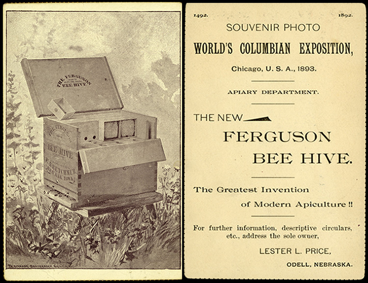 Composite image showing a Ferguson beehive with descriptive text on the back.