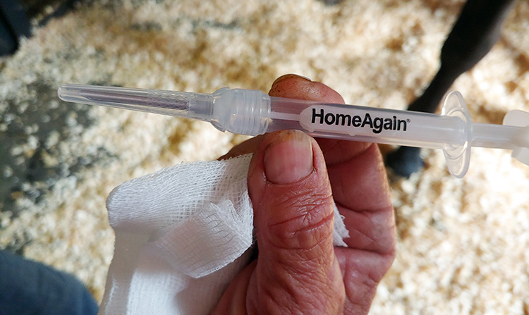 A close-up of a syringe labeled HomeAgain