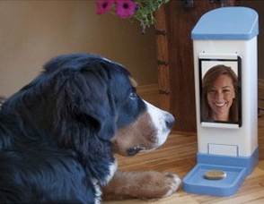 Video chat device for pets and their owners.