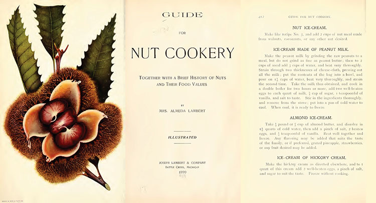 Composite image: (left) botanical drawing of an unidentified nut plant; (center) book title page; (right) recipes for nut ice creams.