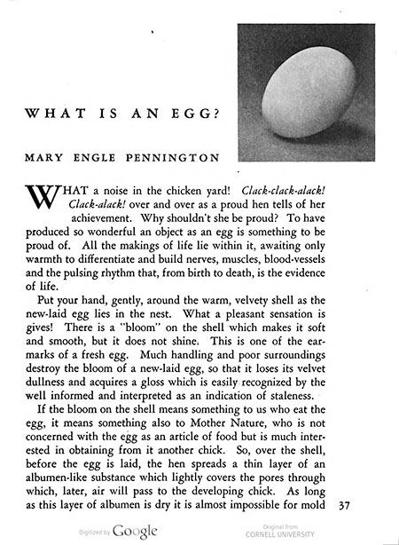 Title page of essay, “What Is an Egg?” 